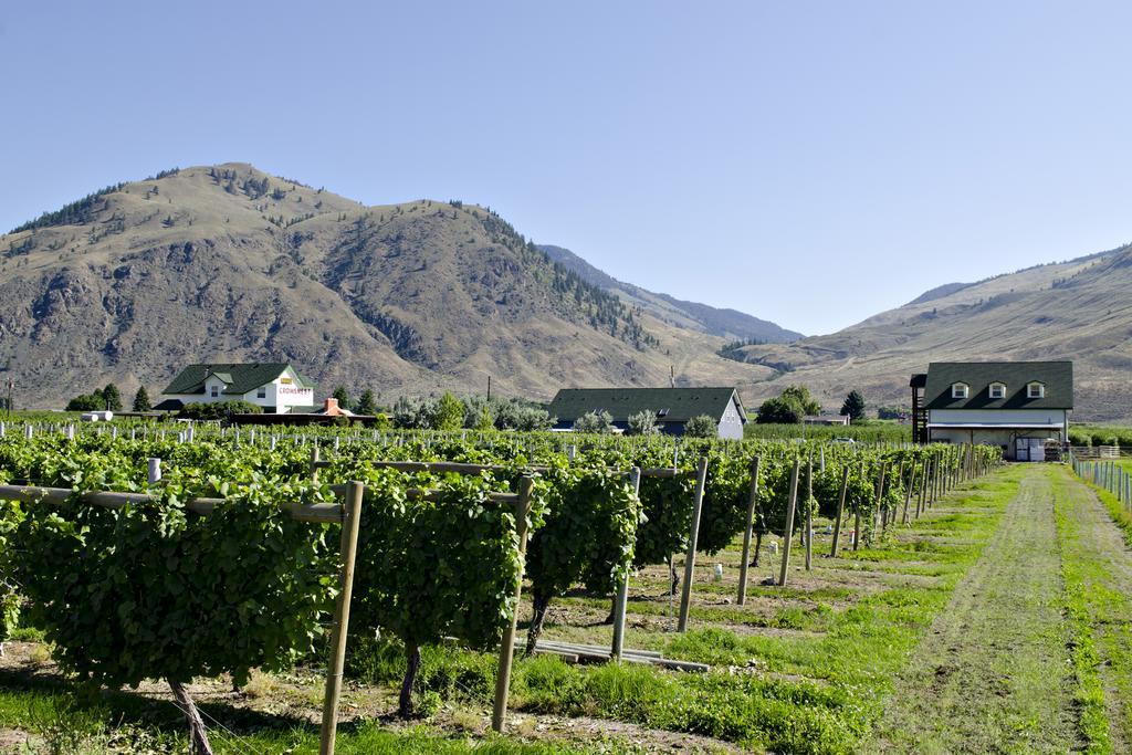 Crowsnest Vineyards Guesthouse Keremeos エクステリア 写真