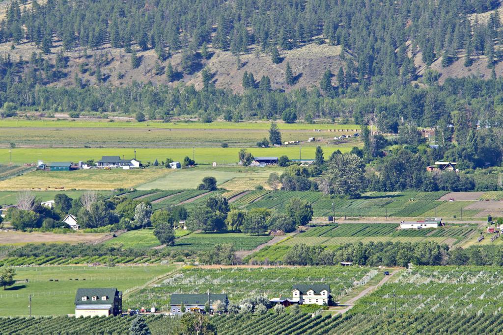 Crowsnest Vineyards Guesthouse Keremeos エクステリア 写真