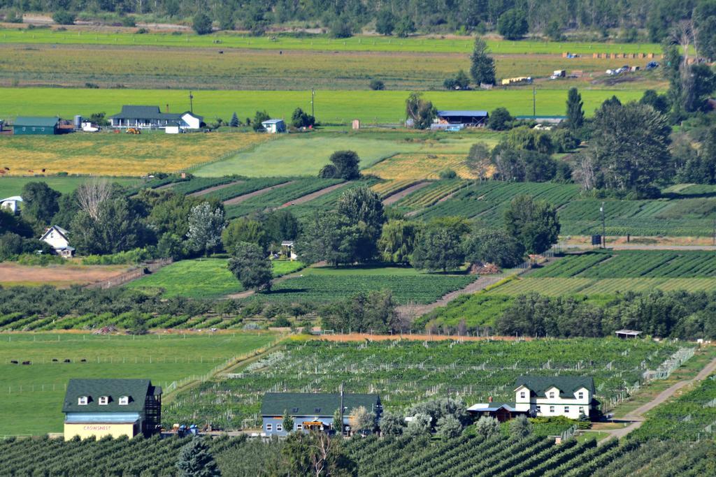 Crowsnest Vineyards Guesthouse Keremeos エクステリア 写真